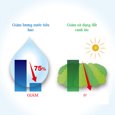 Cách doanh nghiệp Nhật Bản bảo vệ 'nguồn vốn tự nhiên' ảnh 2