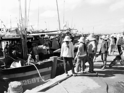 Đội quân tóc dài sẵn sàng trên bờ chờ cá . Đội quân tóc dài sẵn sàng trên bờ chờ cá