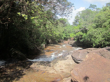 Hai bên dòng suối là dãy cây cối xanh tươi, um tùm 