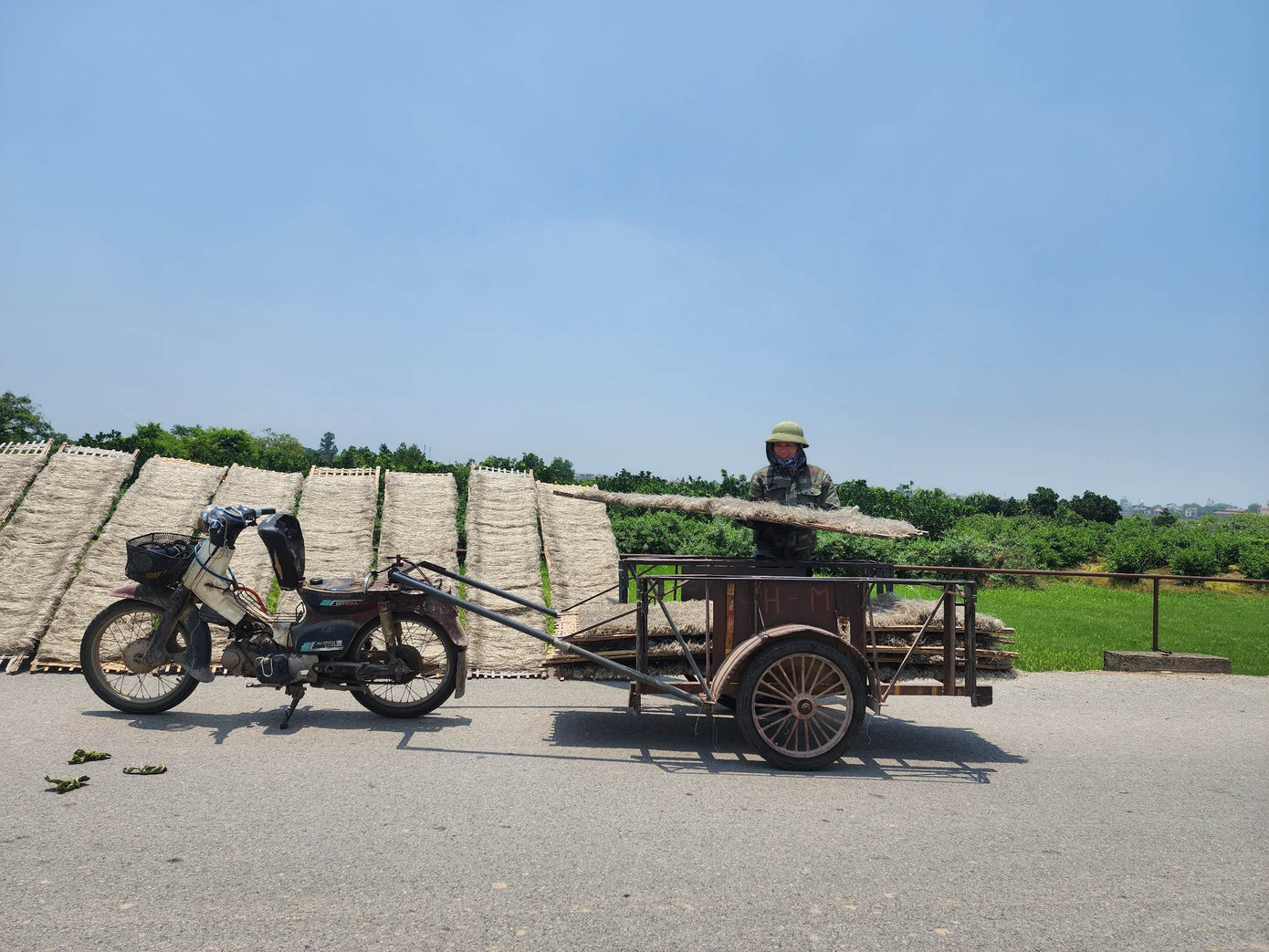 Hiện nay, nghề làm miến dong đã góp phần giải quyết quyết việc làm cho hàng ngàn người dân trong xã. Không những thế, còn tạo việc làm cho lao động từ các nơi khác đến với thu nhập trung bình 10 triệu đồng/tháng. Hiện nay, nghề làm miến dong đã góp phần giải quyết quyết việc làm cho hàng ngàn người dân trong xã. Không những thế, còn tạo việc làm cho lao động từ các nơi khác đến với thu nhập trung bình 10 triệu đồng/tháng.