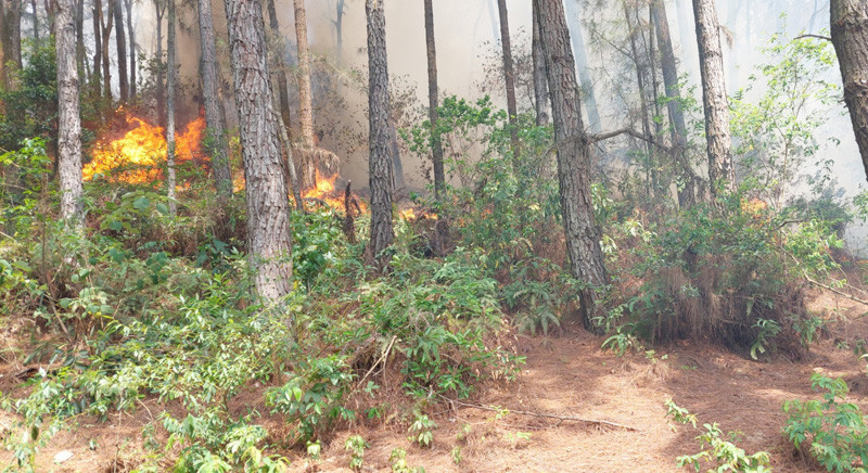 Trong một ngày, trên địa bàn huyện Sóc Sơn xảy ra hai đám cháy