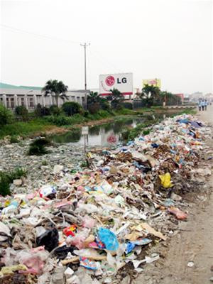 Người dân quanh năm phải sống chung với rác.
