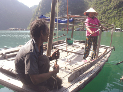 Ông bà Thái chuẩn bị đi vớt sứa