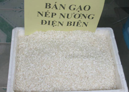 Các loại sản phẩm đặc sản hút khách 