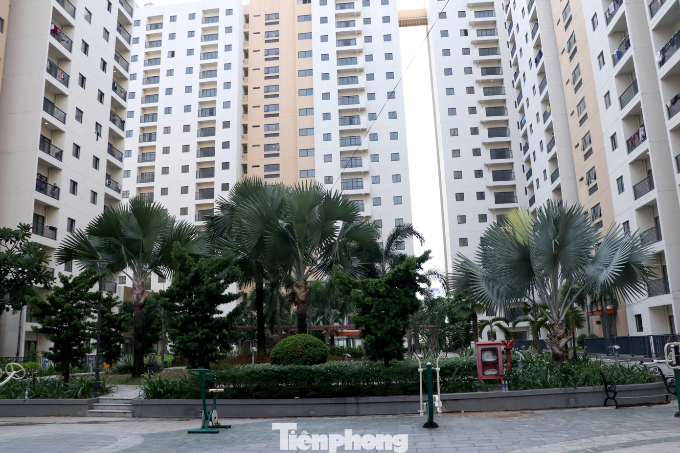 Đến ngày 20/7, Bệnh viện đã tiếp nhận trên 3.000 bệnh nhân và đang tiếp tục nhận bệnh từ các địa phương chuyển đến. Bệnh viện có hơn 350 nhân viên y tế với lực lượng nòng cốt là Bệnh viện Từ Dũ. Đến ngày 20/7, Bệnh viện đã tiếp nhận trên 3.000 bệnh nhân và đang tiếp tục nhận bệnh từ các địa phương chuyển đến. Bệnh viện có hơn 350 nhân viên y tế với lực lượng nòng cốt là Bệnh viện Từ Dũ.