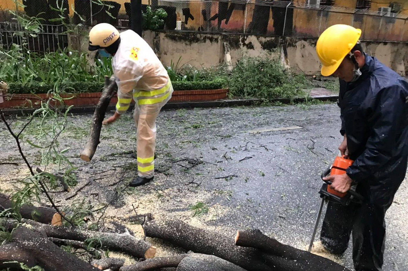 Đài khí tượng thủy văn khu vực Nam Bộ cho biết, nguyên nhân gây gió mạnh mưa lớn chiều nay do rãnh áp thấp có trục đi qua Bắc Bộ nối với cơn bão Cempaka (cơn bão số 3) ở khu vực phía nam Hồng Kông. Điều này khiến gió Tây Nam hoạt động mạnh lên gây mưa lớn, gió giật mạnh ở TPHCM và các tỉnh Nam Bộ. Đài khí tượng thủy văn khu vực Nam Bộ cho biết, nguyên nhân gây gió mạnh mưa lớn chiều nay do rãnh áp thấp có trục đi qua Bắc Bộ nối với cơn bão Cempaka (cơn bão số 3) ở khu vực phía nam Hồng Kông. Điều này khiến gió Tây Nam hoạt động mạnh lên gây mưa lớn, gió giật mạnh ở TPHCM và các tỉnh Nam Bộ.