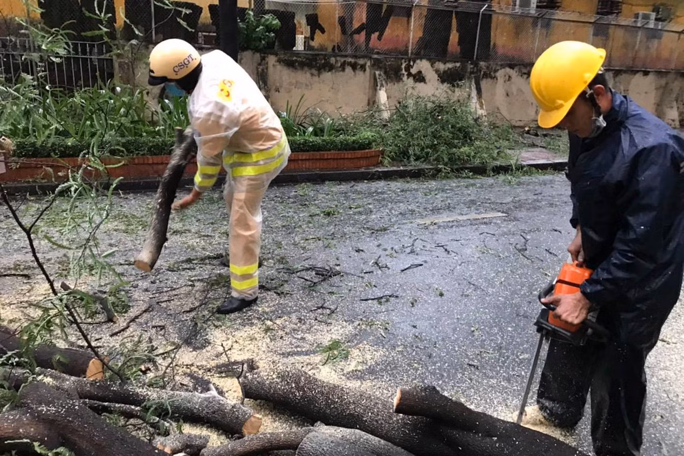 Đài khí tượng thủy văn khu vực Nam Bộ cho biết, nguyên nhân gây gió mạnh mưa lớn chiều nay do rãnh áp thấp có trục đi qua Bắc Bộ nối với cơn bão Cempaka (cơn bão số 3) ở khu vực phía nam Hồng Kông. Điều này khiến gió Tây Nam hoạt động mạnh lên gây mưa lớn, gió giật mạnh ở TPHCM và các tỉnh Nam Bộ.