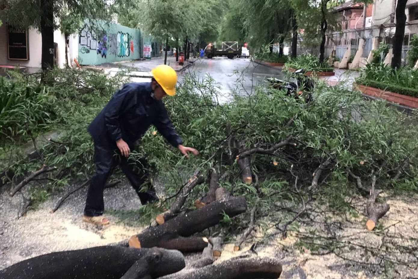 Ngay sau khi sự cố xảy ra, lực lượng công nhân công ty cây xanh có mặt tiến hành cắt tỉa cây đổ, dọn dẹp hiện trường. Ngay sau khi sự cố xảy ra, lực lượng công nhân công ty cây xanh có mặt tiến hành cắt tỉa cây đổ, dọn dẹp hiện trường.