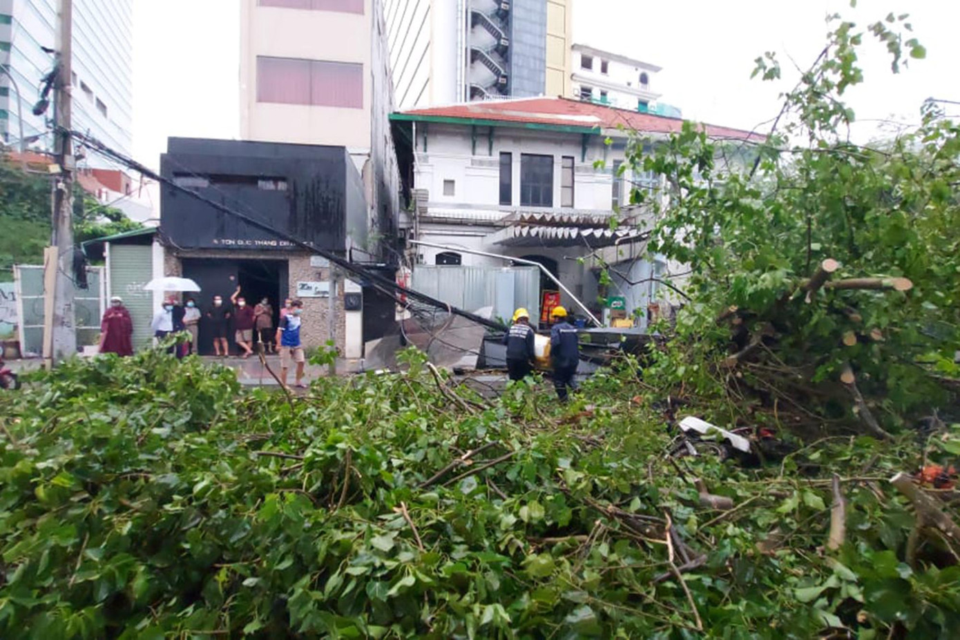Cũng trong cơn mưa chiều, nhiều cây xanh trên các tuyến đường ở trung tâm TPHCM bị gió quật ngã xuống đường. Cũng trong cơn mưa chiều, nhiều cây xanh trên các tuyến đường ở trung tâm TPHCM bị gió quật ngã xuống đường.