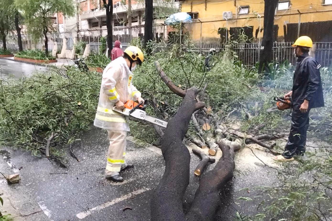 Lực lượng CSGT làm nhiệm vụ trong khu vực cũng có mặt hỗ trợ di dời cây xanh gãy đổ để dọn đường cho các phương tiện lưu thông.