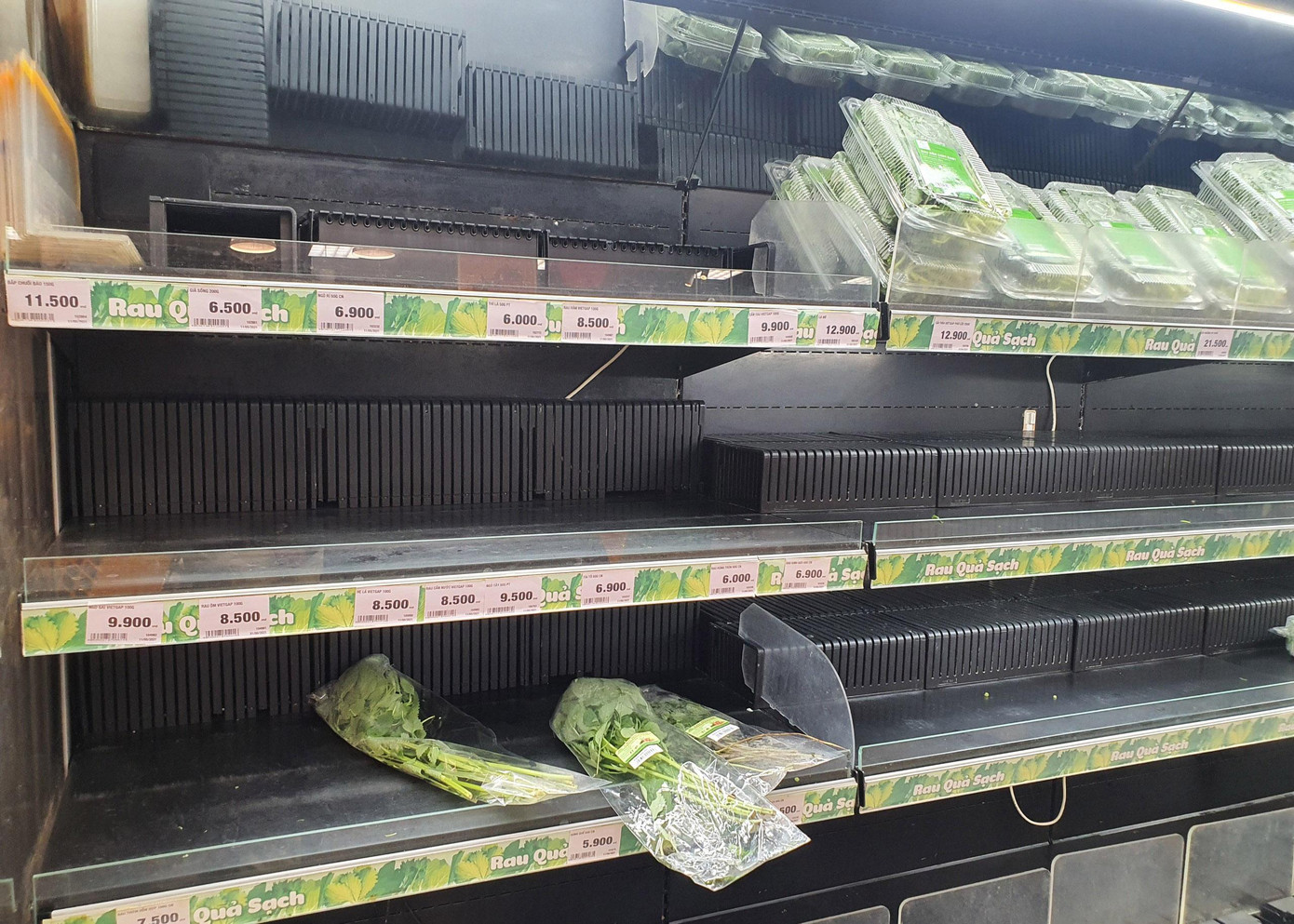 Hôm nay đọc được thông tin trên báo về việc nhiều siêu thị hết hàng, bà lo lắng nên tranh thủ đi mua thêm lương thực cho gia đình nhưng sau khi đi một vòng siêu thị thì chưa mua được gì do thực phẩm tươi sống đã hết.