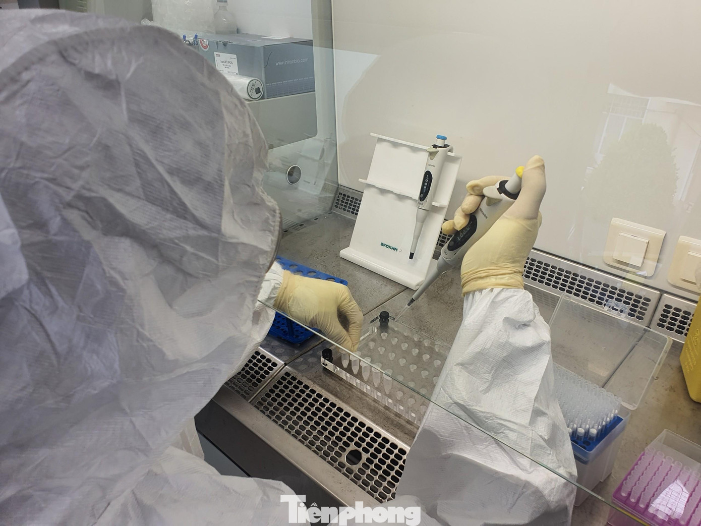 TPHCM đang đẩy mạnh công tác xét nghiệm tầm soát diện rộng. TPHCM đang đẩy mạnh công tác xét nghiệm tầm soát diện rộng.