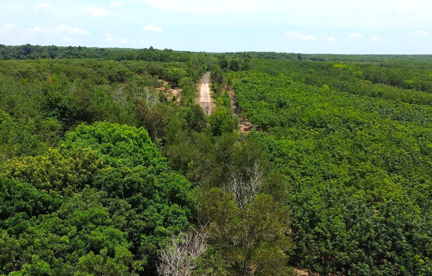 Mục tiêu đề ra của Đồng Nai và Bình Phước là sẽ hoàn thành các thủ tục đủ điều kiện để khởi công xây dựng cầu Mã Đà trong tháng 6 tới và khánh thành, đưa vào sử dụng trong tháng 12/2025. Mục tiêu đề ra của Đồng Nai và Bình Phước là sẽ hoàn thành các thủ tục đủ điều kiện để khởi công xây dựng cầu Mã Đà trong tháng 6 tới và khánh thành, đưa vào sử dụng trong tháng 12/2025.