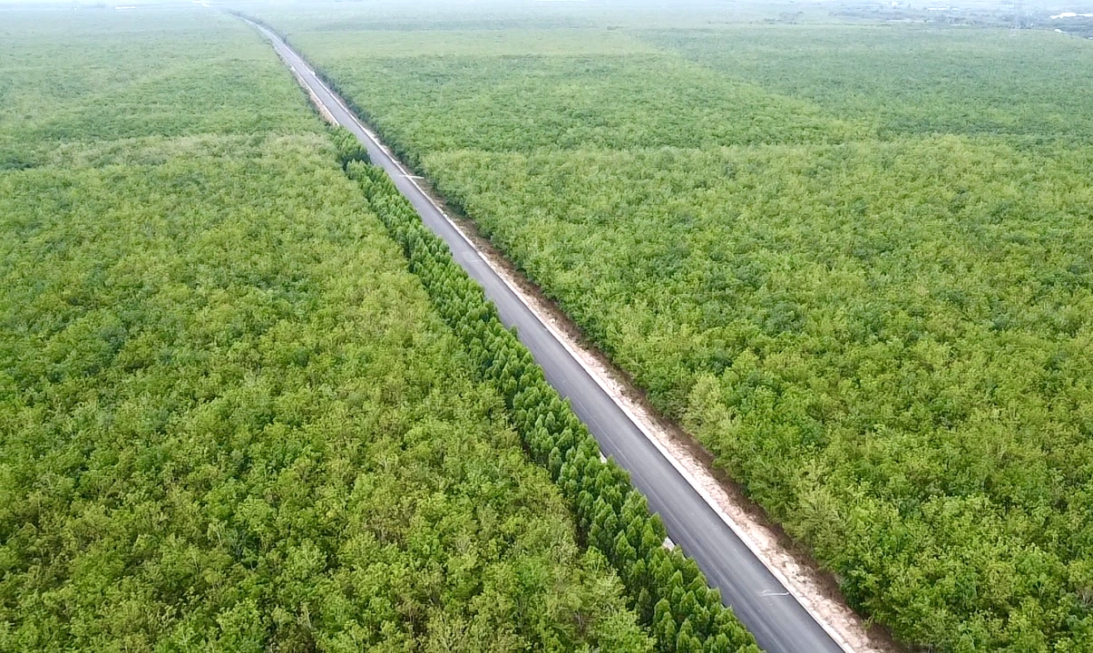 Đường Hồ Chí Minh đoạn Chơn Thành - Đức Hòa sẽ thông xe kỹ thuật dịp 30/4 tới Đường Hồ Chí Minh đoạn Chơn Thành - Đức Hòa sẽ thông xe kỹ thuật dịp 30/4 tới