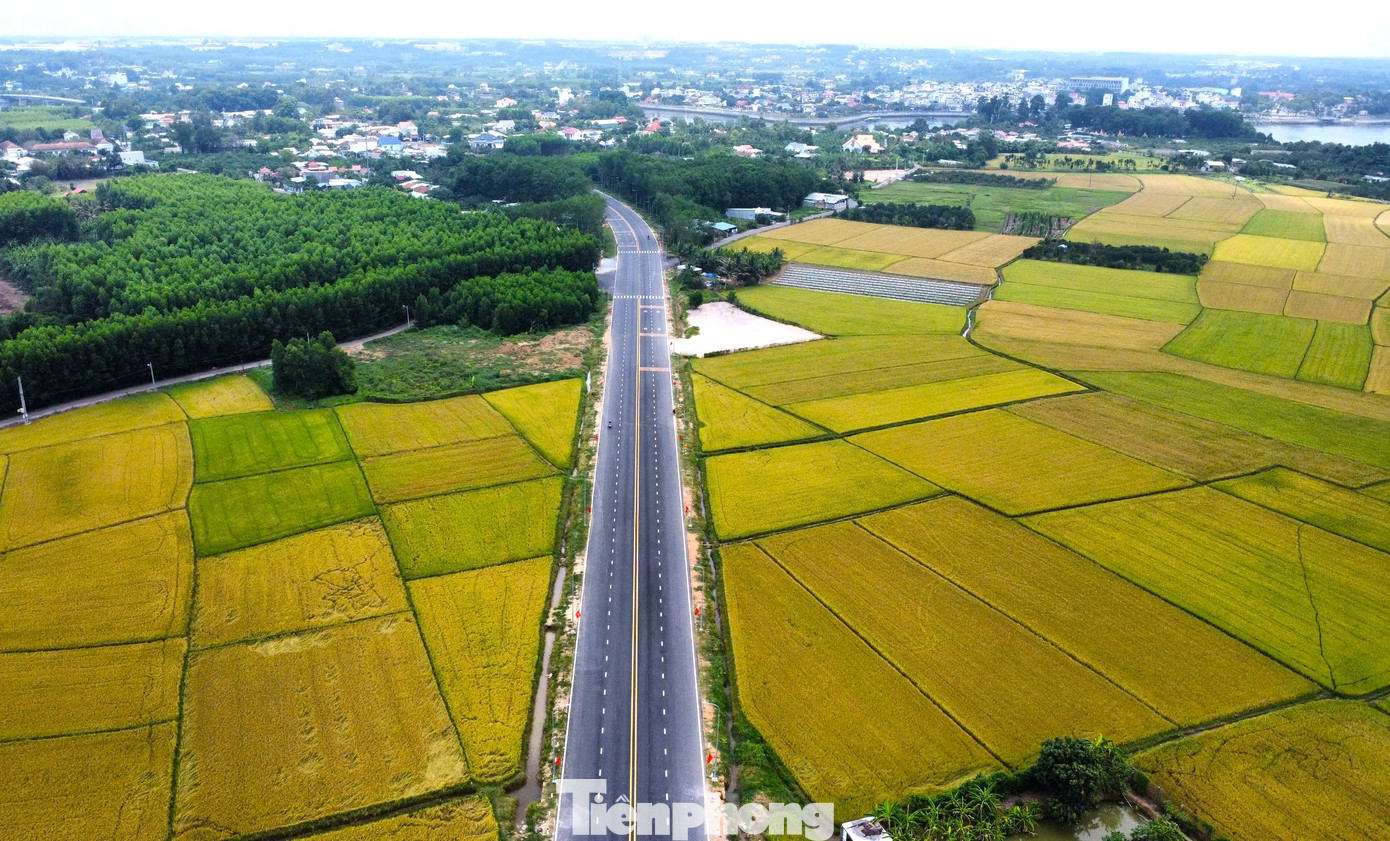 Đường dẫn cầu Bạch Đằng 2 phía tỉnh Bình Dương.