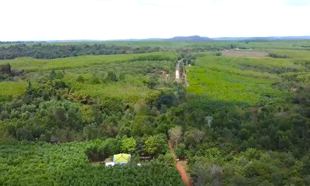 Theo phân tích của UBND tỉnh Đồng Nai, với phương án này chi phí đầu tư thấp (cầu Mã Đà 220 tỷ đồng, đường kết nối khoảng 10.800 tỷ đồng). Ngoài ra, diện tích đất rừng phải thu hồi dưới 50 ha, thẩm quyền quyết định chủ trương đầu tư của HĐND tỉnh và có thể nhanh chóng triển khai, đồng bộ với quy mô giai đoạn 1 của đường Vành đai 4 TPHCM cũng với 4 làn xe. Theo phân tích của UBND tỉnh Đồng Nai, với phương án này chi phí đầu tư thấp (cầu Mã Đà 220 tỷ đồng, đường kết nối khoảng 10.800 tỷ đồng). Ngoài ra, diện tích đất rừng phải thu hồi dưới 50 ha, thẩm quyền quyết định chủ trương đầu tư của HĐND tỉnh và có thể nhanh chóng triển khai, đồng bộ với quy mô giai đoạn 1 của đường Vành đai 4 TPHCM cũng với 4 làn xe.