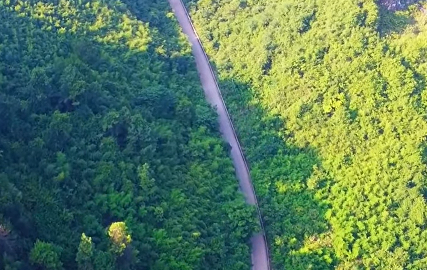 Nếu chọn phương án 8 làn xe, chi phí đầu tư cao hơn (cầu Mã Đà khoảng 390 tỷ đồng, đường kết nối khoảng 17.200 tỷ đồng) và cần phải chuyển đổi khoảng 85,5 ha đất rừng đặc dụng. Nếu chọn phương án 8 làn xe, chi phí đầu tư cao hơn (cầu Mã Đà khoảng 390 tỷ đồng, đường kết nối khoảng 17.200 tỷ đồng) và cần phải chuyển đổi khoảng 85,5 ha đất rừng đặc dụng.