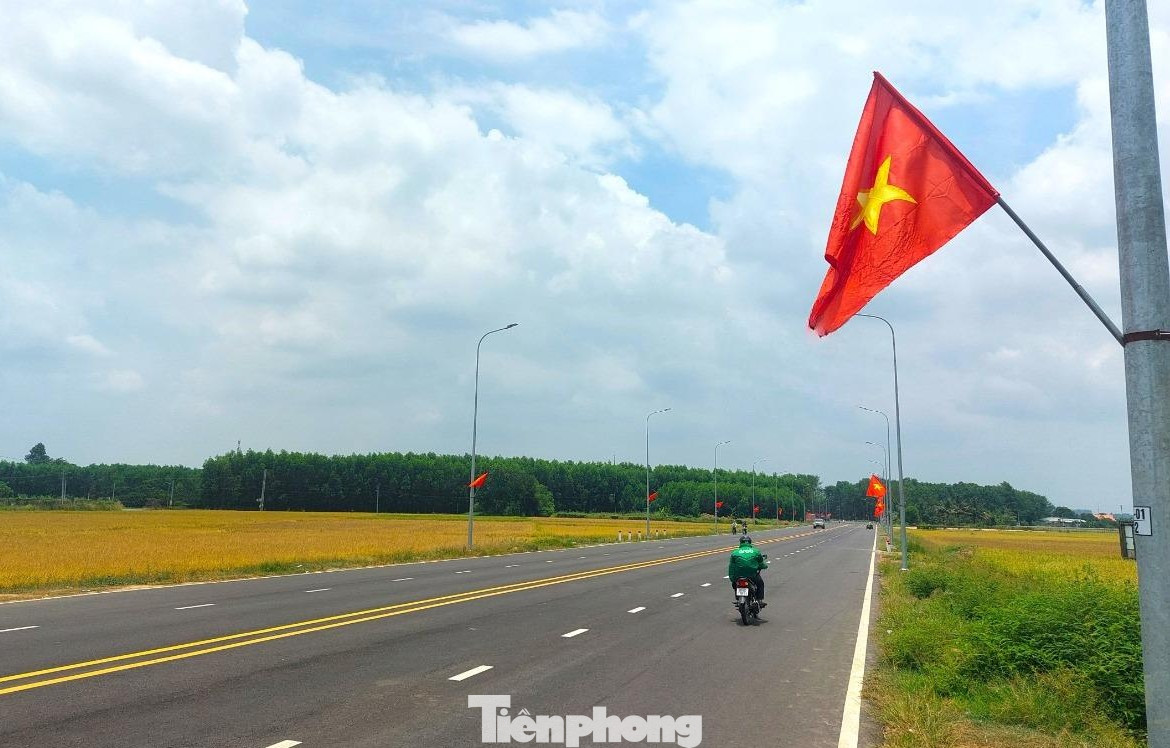 Cảnh bình yên trên tuyến đường với hai bên đường là những cánh đồng lúa chín vàng.