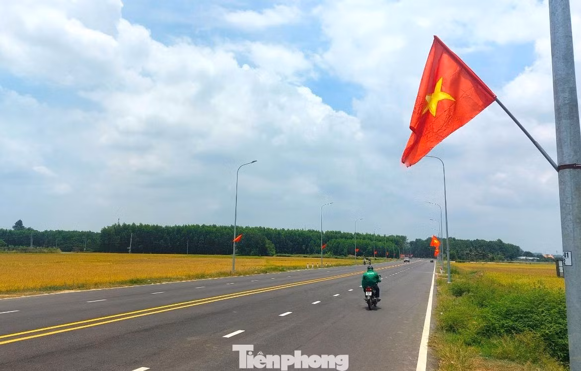 Cảnh bình yên trên tuyến đường với hai bên đường là những cánh đồng lúa chín vàng. Cảnh bình yên trên tuyến đường với hai bên đường là những cánh đồng lúa chín vàng.
