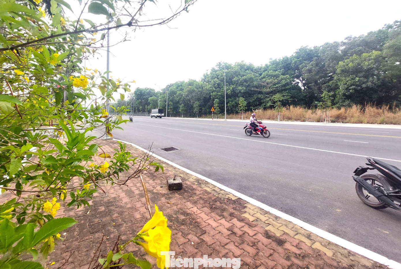 Hiện nay đơn vị thi công đang khẩn trương đẩy nhanh tiến độ, dự kiến hoàn thành và thông suốt toàn tuyến Trục Chính Đông Tây dịp 30/4 tới. Hiện nay đơn vị thi công đang khẩn trương đẩy nhanh tiến độ, dự kiến hoàn thành và thông suốt toàn tuyến Trục Chính Đông Tây dịp 30/4 tới.