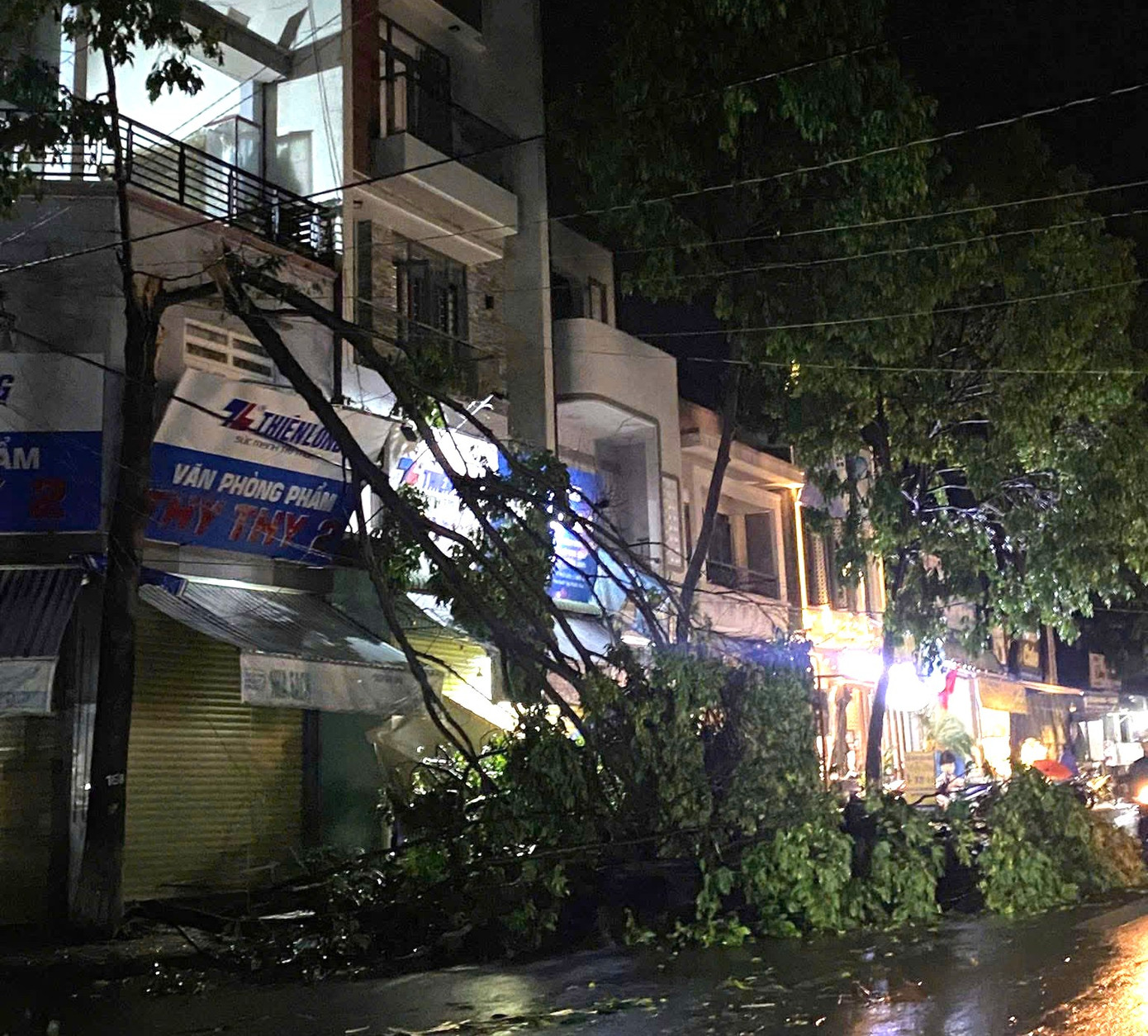 Cây xanh gãy đổ