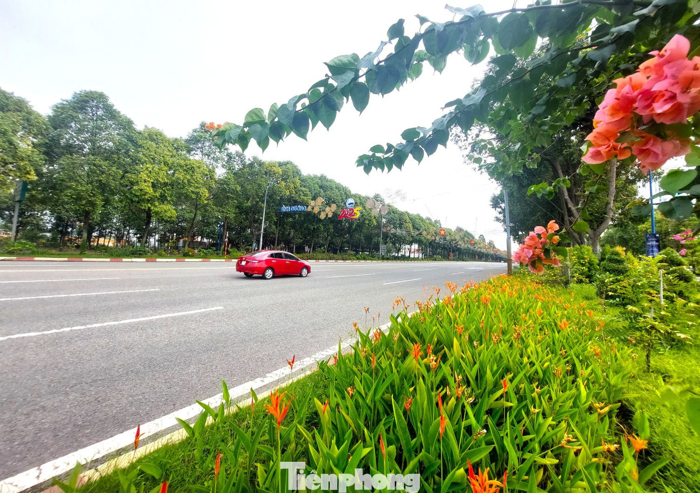 Với 12 làn xe, trong đó 8 làn ô tô và 4 làn hỗn hợp hai bên, đường Hùng Vương là tuyến rộng nhất tại tỉnh Bình Dương tính đến thời điểm hiện tại.