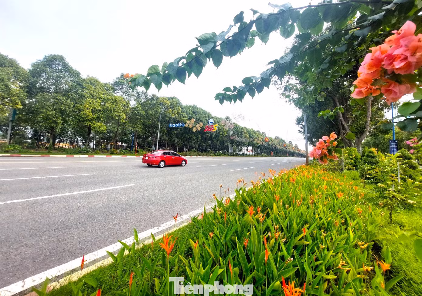 Với 12 làn xe, trong đó 8 làn ô tô và 4 làn hỗn hợp hai bên, đường Hùng Vương là tuyến rộng nhất tại tỉnh Bình Dương tính đến thời điểm hiện tại.