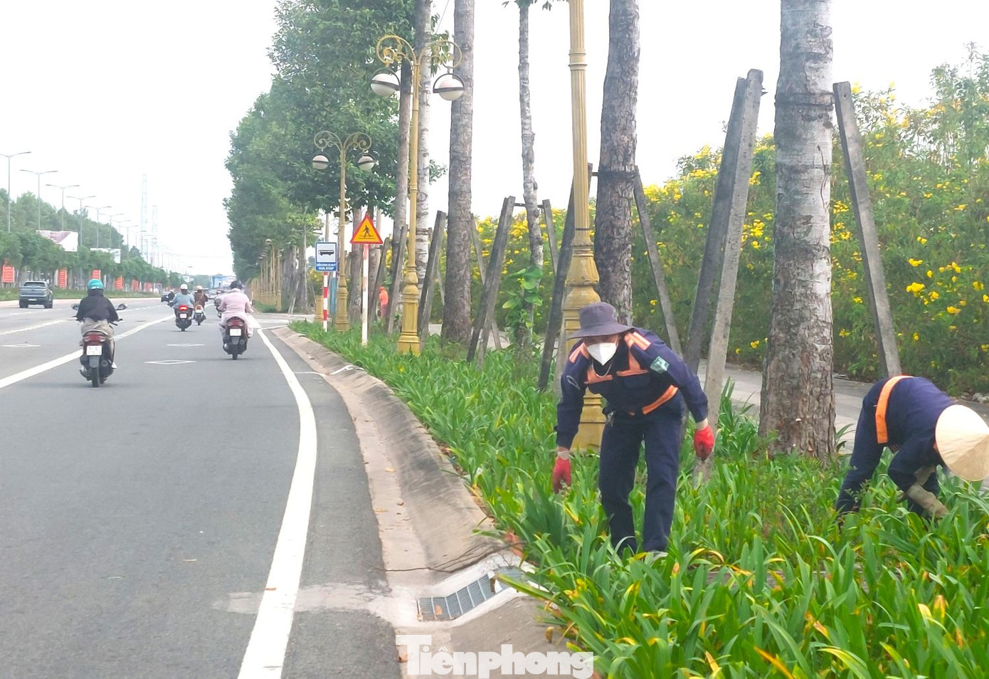 Đường Hùng Vương đoạn từ đầu đường Phạm Ngọc Thạch đến ngã tư giao nhau với đường Võ Văn Kiệt có 8 làn xe và 2 làn đi bộ hai bên. Đường Hùng Vương đoạn từ ngã tư giao với đường Võ Văn Kiệt đến vòng xoay A1 (điểm cuối) có 12 làn xe.