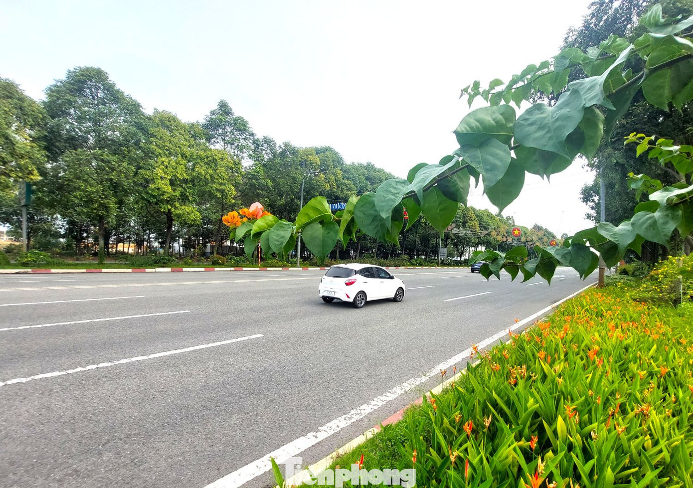 Đường Hùng Vương có tới 3 dải phân cách rộng, được trồng cây xanh, tạo nên khung cảnh thiên nhiên tuyệt đẹp.