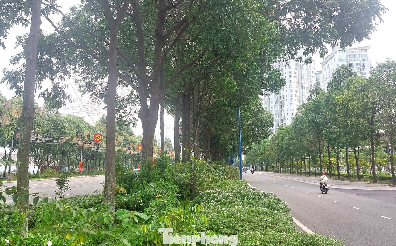 Đường Hùng Vương có tới 3 dải phân cách được trồng cây xanh.