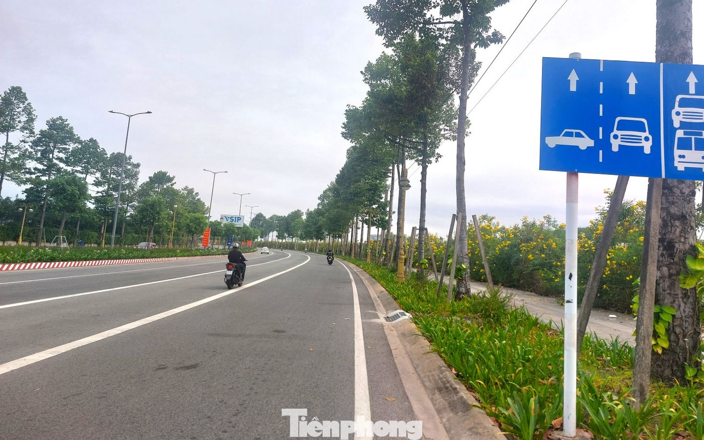 Đường Hùng Vương nối tiếp từ đường Phạm Ngọc Thạch, qua phường Phú Mỹ và phường Hòa Phú của thành phố Thủ Dầu Một. Đây là tuyến đường chính dẫn vào Trung tâm hành chính tỉnh Bình Dương.