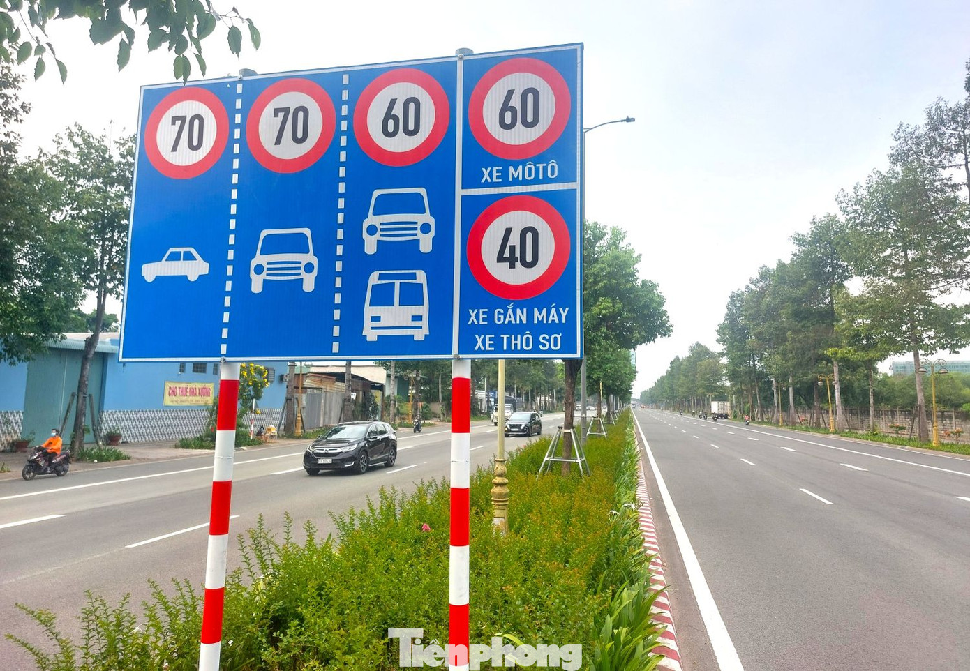 Biển báo giới hạn tốc độ được gắn hai bên đường và giữa dải phân cách