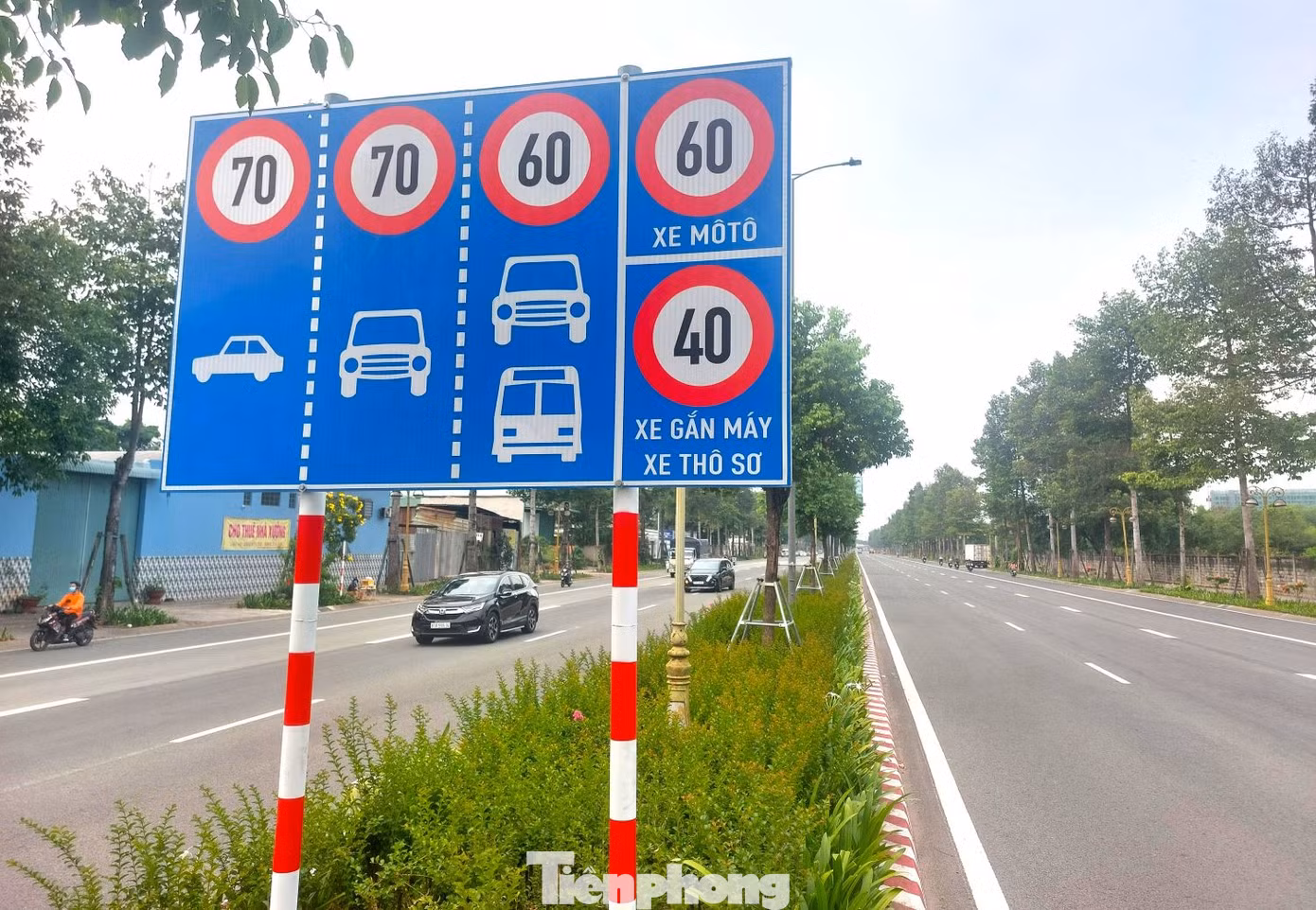 Biển báo giới hạn tốc độ được gắn hai bên đường và giữa dải phân cách