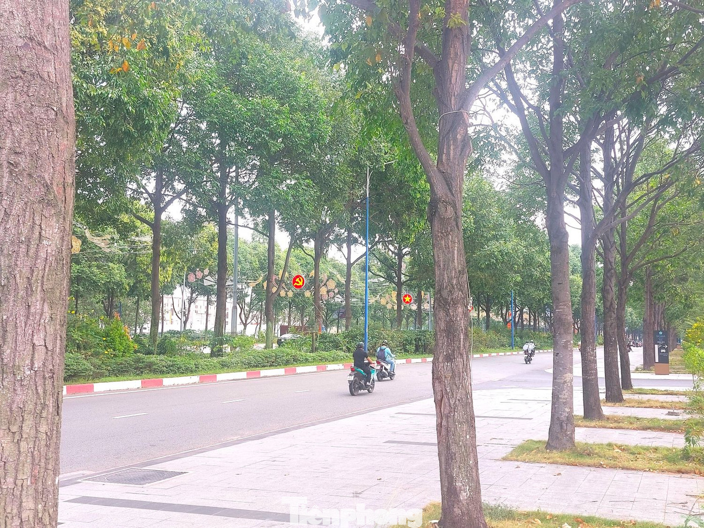 Tuyến đường Hùng Vương dài hơn 3km được xây dựng trong quá trình phát triển Khu liên hợp Công nghiệp, Dịch vụ, Đô thị Bình Dương (còn gọi là thành phố Mới Bình Dương). Tuyến đường được đưa vào sử dụng hơn 10 năm.