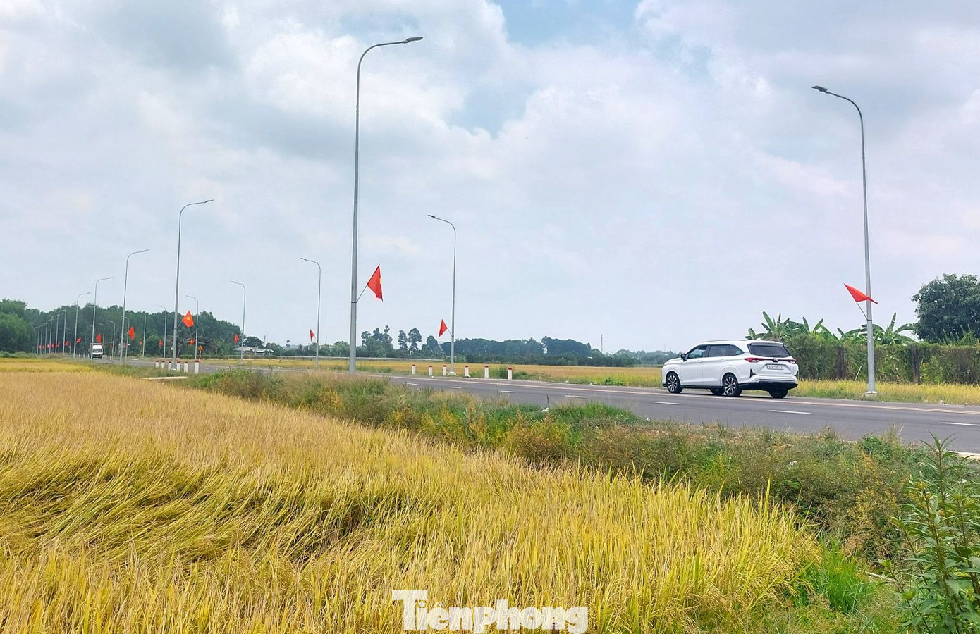 Đường dẫn cầu Bạch Đằng 2 đi qua cánh đồng lúa ở xã Bạch Đằng (TP Tân Uyên, tỉnh Bình Dương).