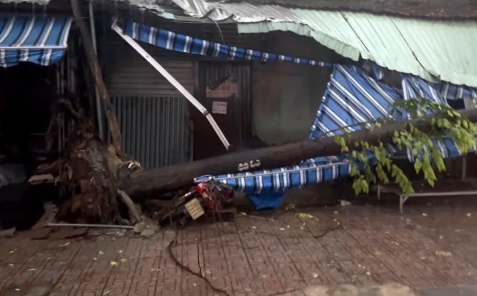 Cây xanh gãy, đè bẹp xe máy tại huyện Phú Giáo.