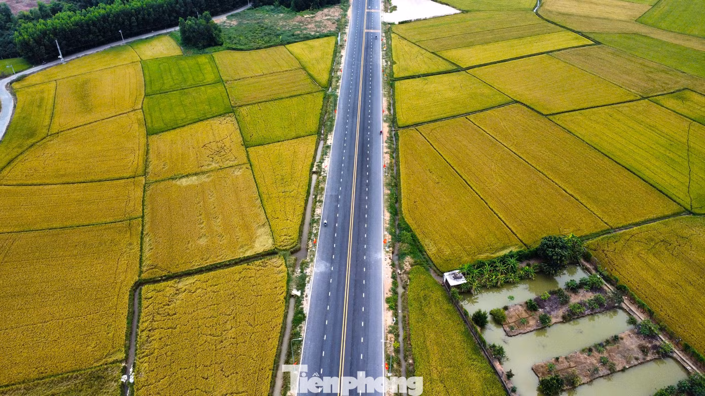 Dự án được chia thành hai dự án thành phần. Dự án 1 - Xây dựng đường dẫn vào cầu phía Bình Dương có chiều dài tuyến 2,68km, quy mô 4 làn xe, tổng mức đầu tư 327,2 tỷ đồng. Dự án được chia thành hai dự án thành phần. Dự án 1 - Xây dựng đường dẫn vào cầu phía Bình Dương có chiều dài tuyến 2,68km, quy mô 4 làn xe, tổng mức đầu tư 327,2 tỷ đồng.