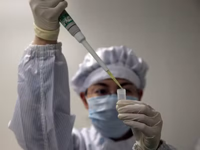 Xét nghiệm virus H7N9 trong phòng thí nghiệm. Ảnh: EPA