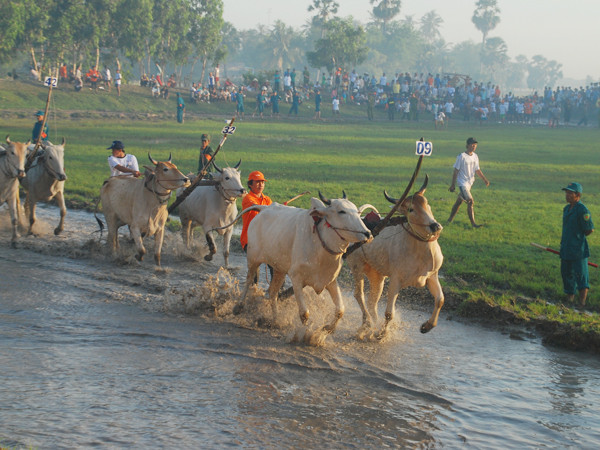 Diễu hành. Ảnh: Trọng Thịnh