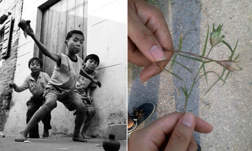 Những con quay (con vụ) không thể thiếu trong kỷ niệm tuổi thơ của 8X. Và cỏ gà và chọi cỏ gà.