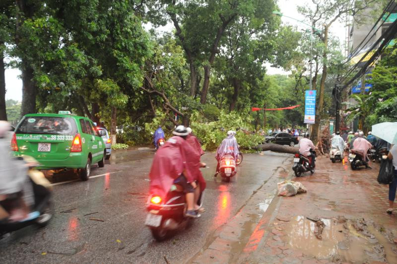 Người dân phải leo lên vỉa hè để đi