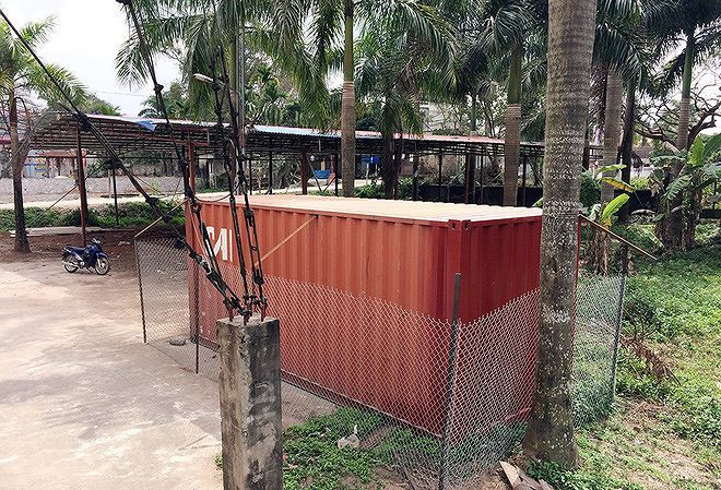 Có nên bán cây sưa 'hàng ngàn tỷ' trên đường phố? ảnh 1