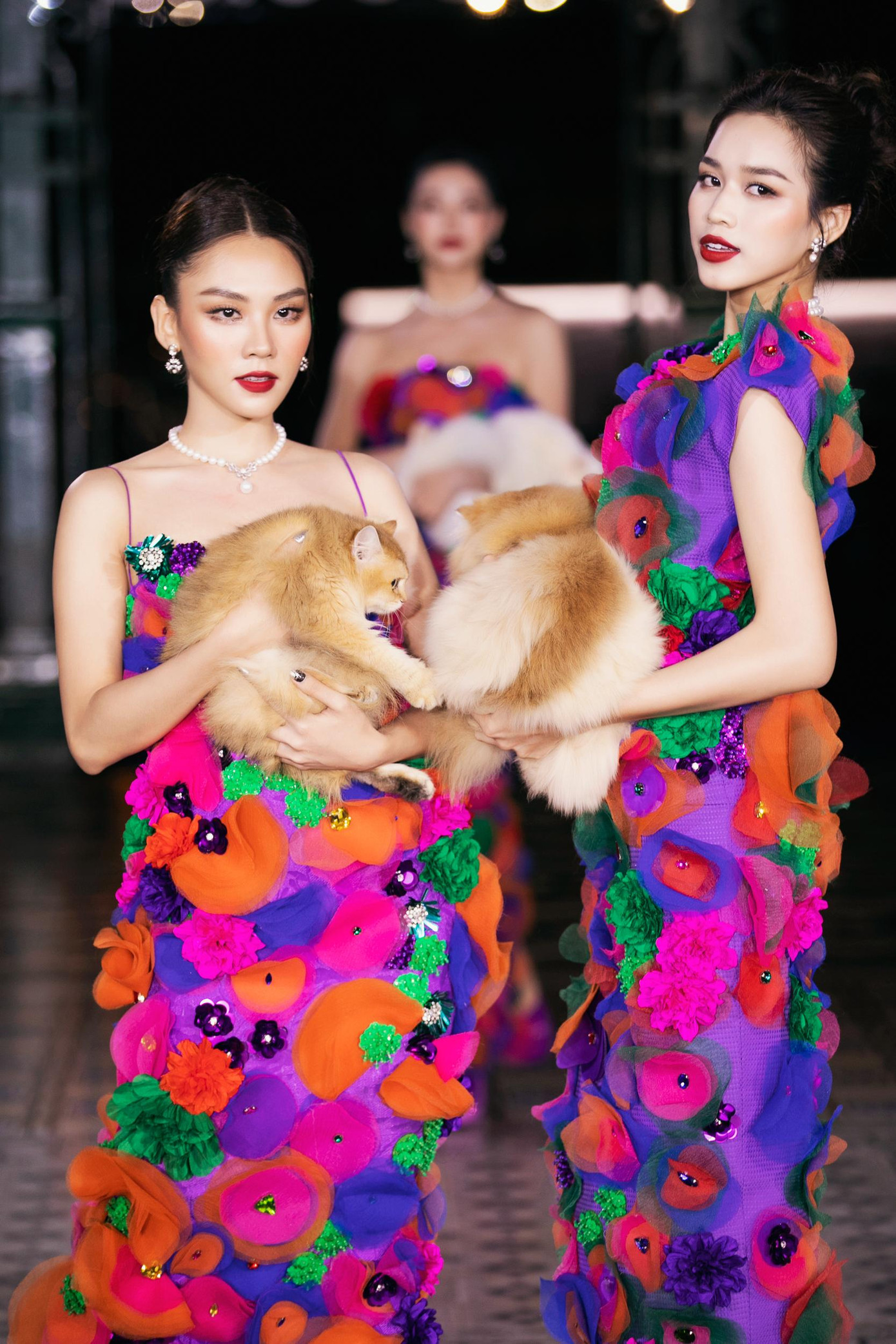 Chia sẻ sau màn trình diễn, Đỗ Thị Hà cho biết khi tập dượt do không có đông người nên chú mèo khá ngoan và bình tĩnh. Tuy nhiên khi diễn thật do âm thanh lớn và nhiều khán giả nên chú mèo hoảng loạn. Đỗ Thị Hà cho biết sự cố lần này cũng là bài học để cô có thêm kinh nghiệm xử lý tình huống ở những màn trình diễn sau.