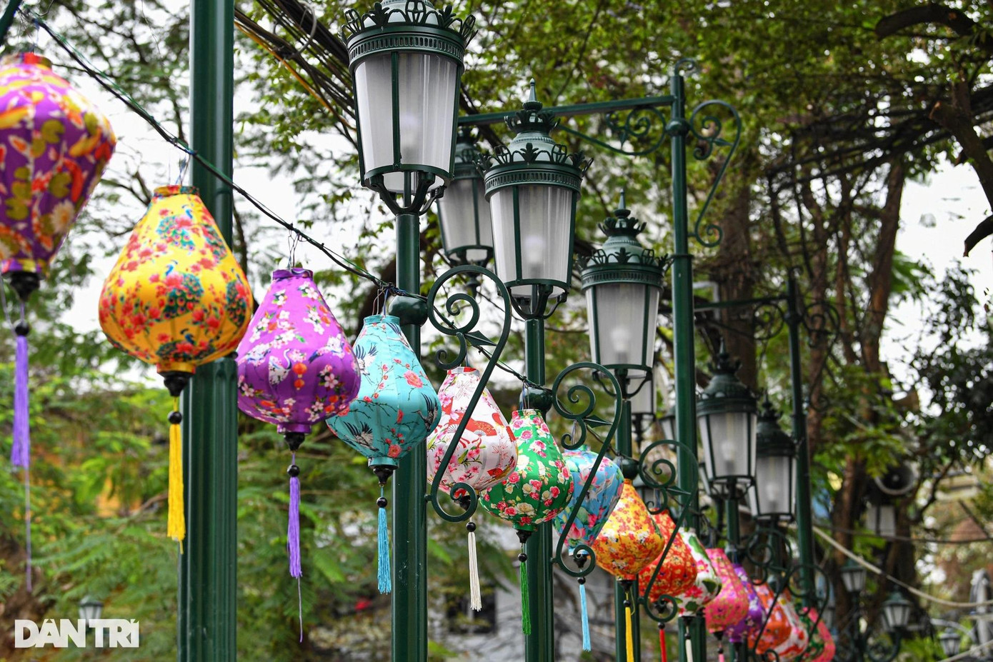 Hệ thống đèn chiếu sáng đang được hoàn thiện ở nhiều khu vực trên phố đi bộ. Dự kiến, phạm vi Khu phố ẩm thực đêm kết hợp đi bộ Đảo Ngọc - Ngũ Xã gồm 7 tuyến phố: Ngũ Xá, Trần Tế Xương, Nguyễn Khắc Hiếu, Mạc Đĩnh Chi, Nam Tràng, Lạc Chính và Trấn Vũ. Trong đó, 2 tuyến phố trung tâm đảo là phố Ngũ Xã và phố Nguyễn Khắc Hiếu.