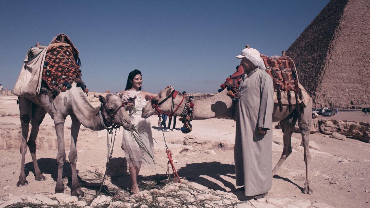 Bộ ảnh cưới được chụp ở Ai Cập với sự xuất hiện của các chú lạc đà.