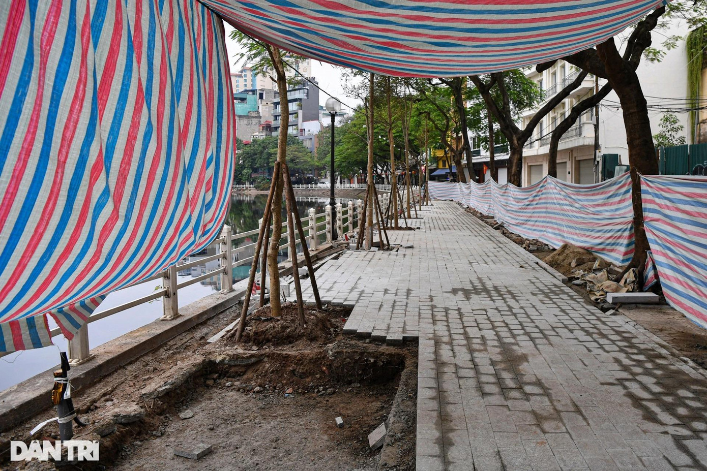 Cây xanh được trồng mới trên vỉa hè dọc phố đi bộ Trúc Bạch.