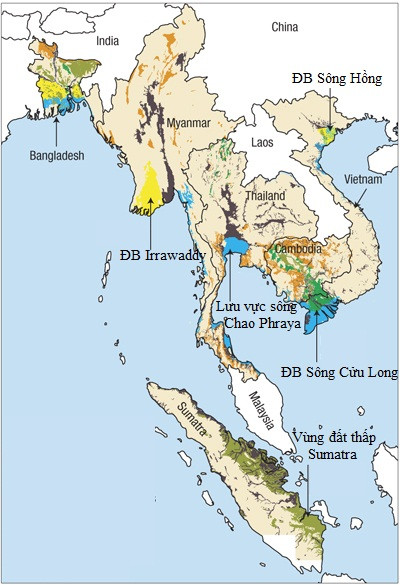 Hoá giải lời nguyền arsenic - kỳ cuối: Vạn Phúc, Vừng ơi mở ra ảnh 3