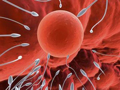 Số lượng tinh trùng sẽ ngày càng suy giảm nếu quý ông uống nhiều rượu