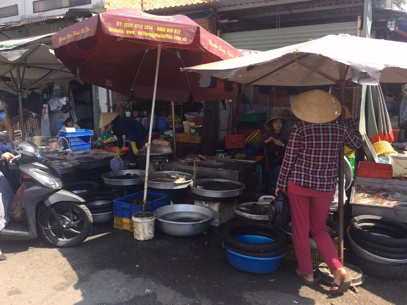 Mùng 4 Tết: Siêu thị vắng hoe, hải sản 'chợ cóc' tăng giá gấp đôi ảnh 7