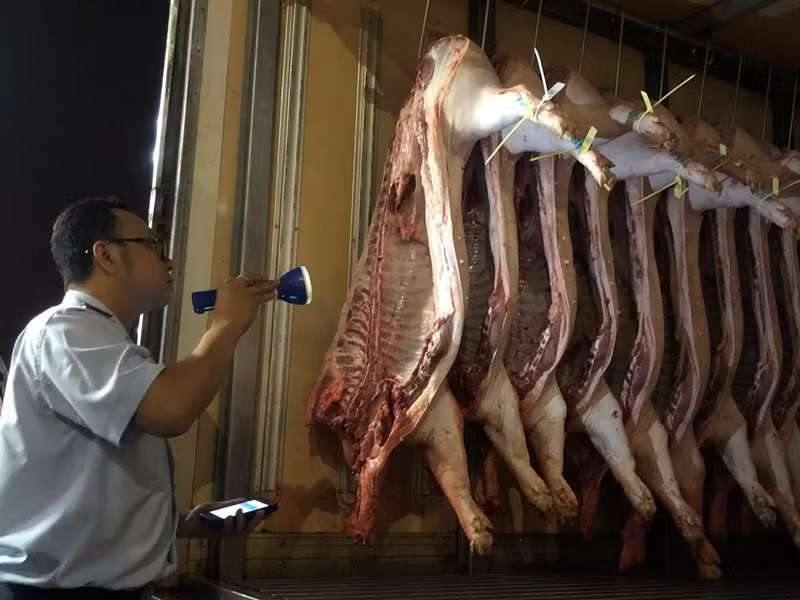 Tội phạm ẩn náu ở chợ đầu mối Sài Gòn ảnh 8
